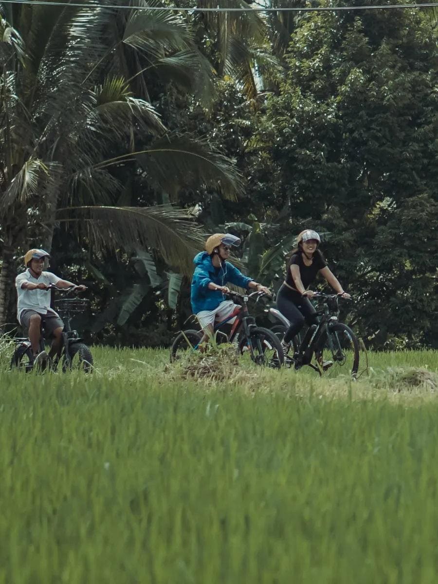 Ubud Adventure Tour
