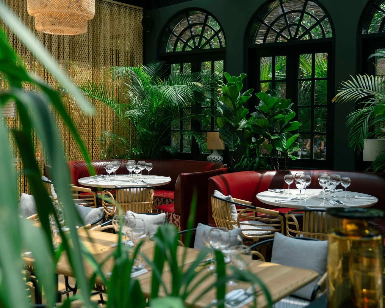 Appetizers & Cocktails