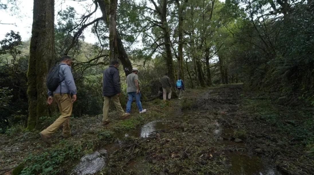 Avalanche-Kolaribetta Trek
