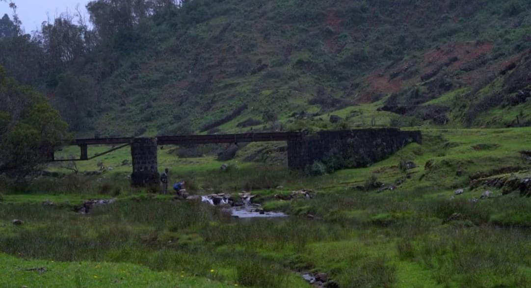 Parsons to Mukurthi Trek