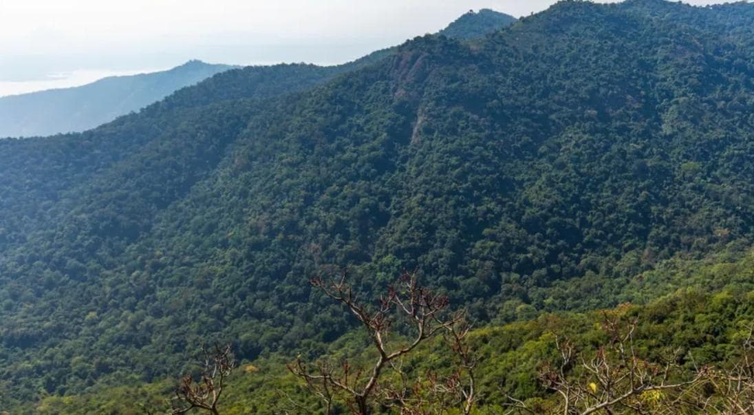 Porivarai Rock Art Trek