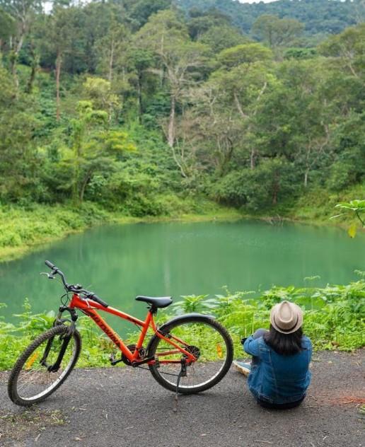 Cycling Through Plantations