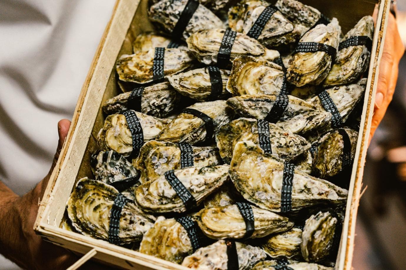 Heated Pool & Jacuzzi