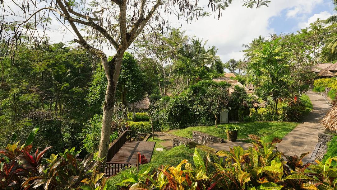 Stays with Rice Field Views