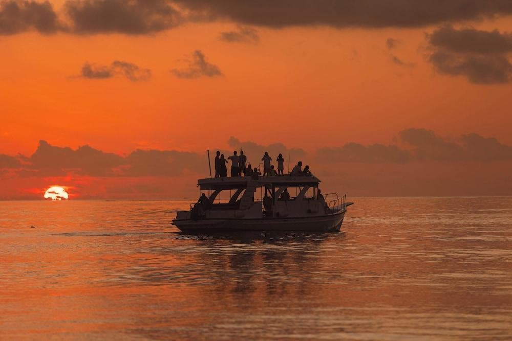 Excursions & Cruises