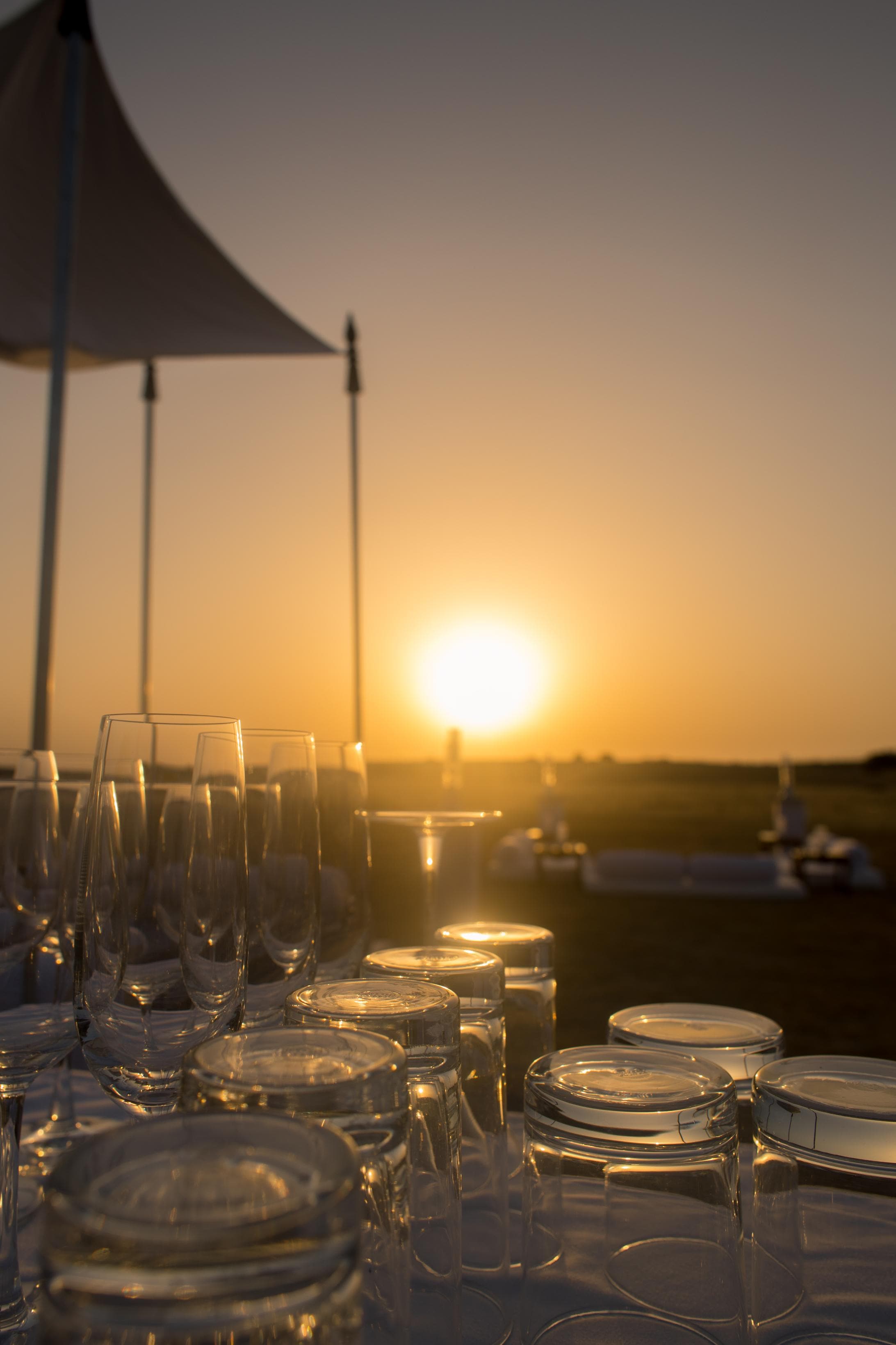 Private Guided Tours & Walks