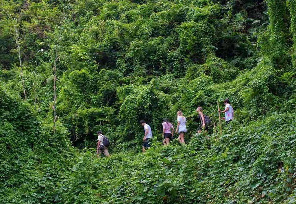 Tropical Trekking