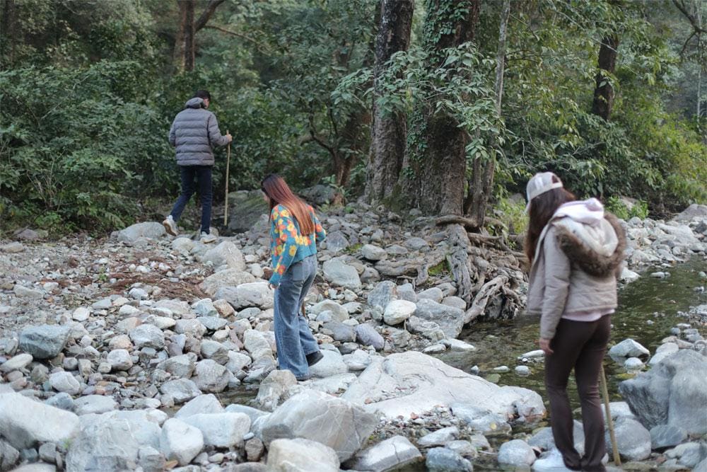 Crocodile Point Tour