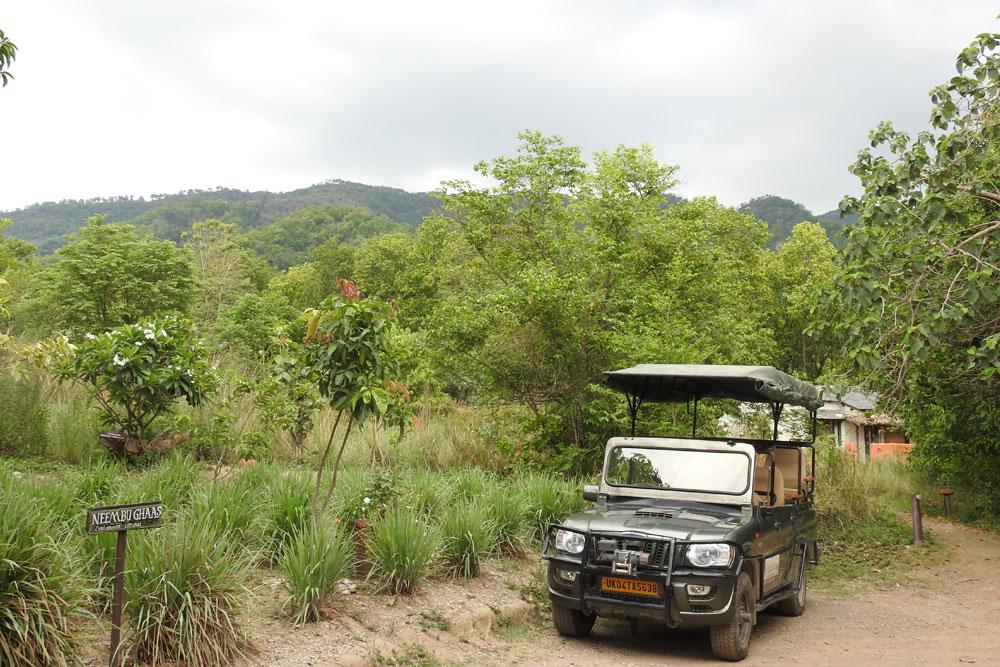 The Corbett Jungle Safari