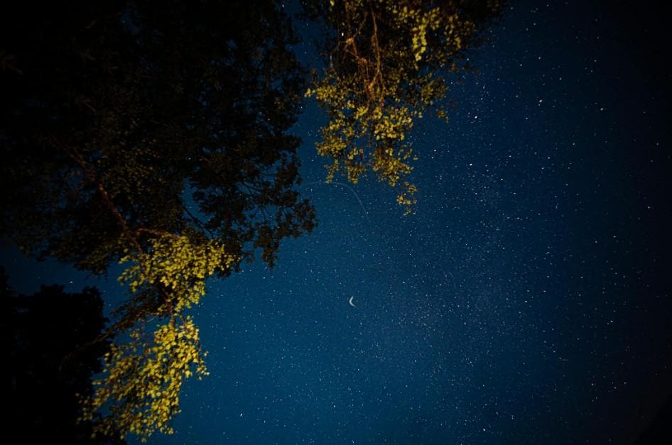 Kodachadri Stargazing