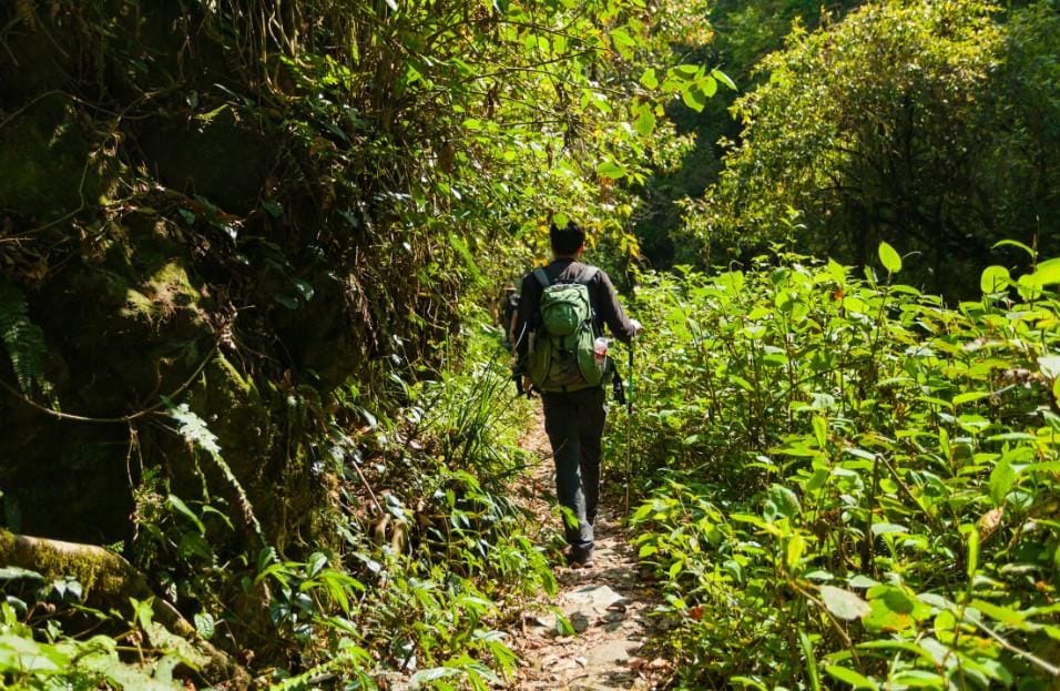 Kodachadri Summit Trek