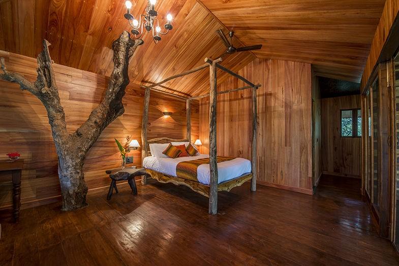 Luxury Tree Houses