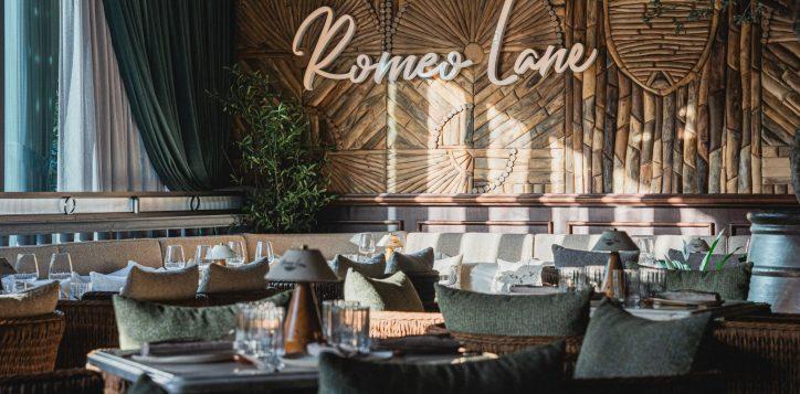 Indo-Japanese fusion