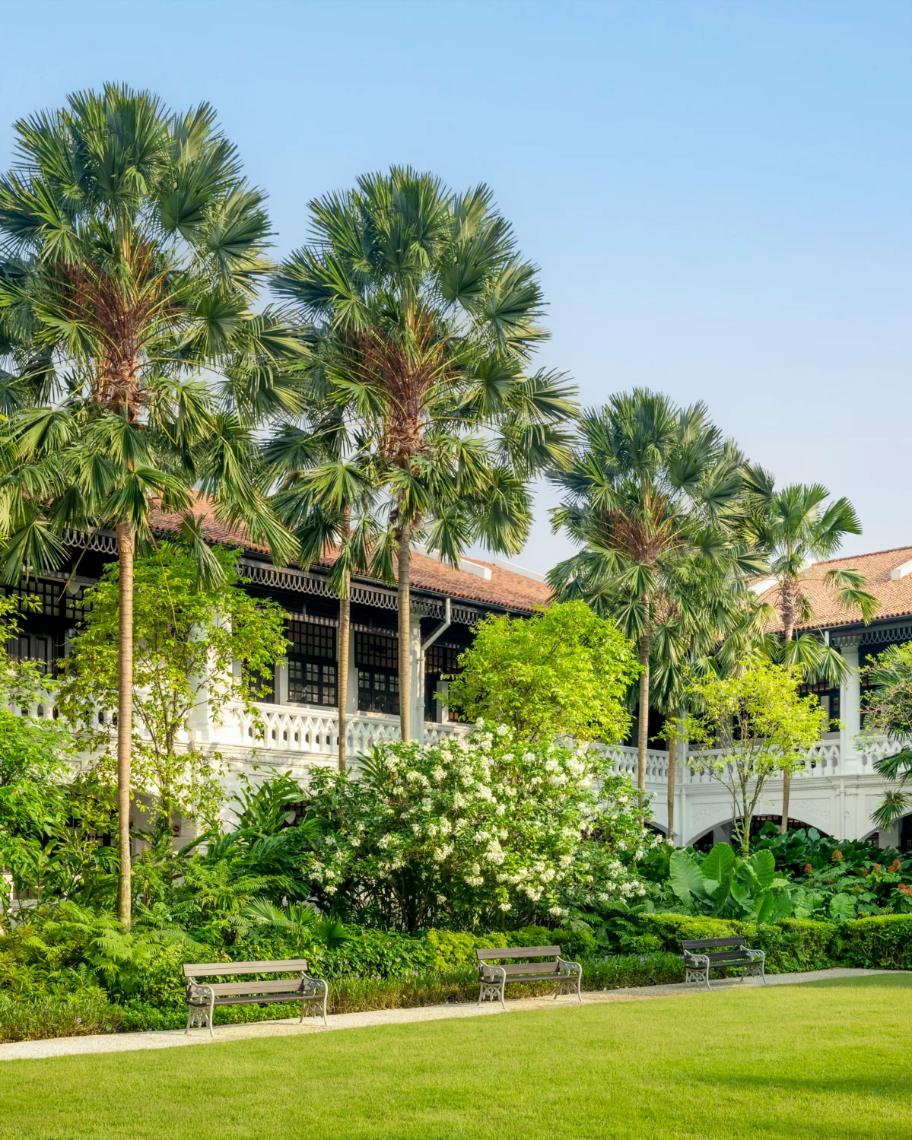 Holistic Healing Rituals