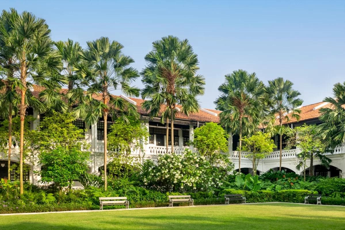 Picnic at Palm Court