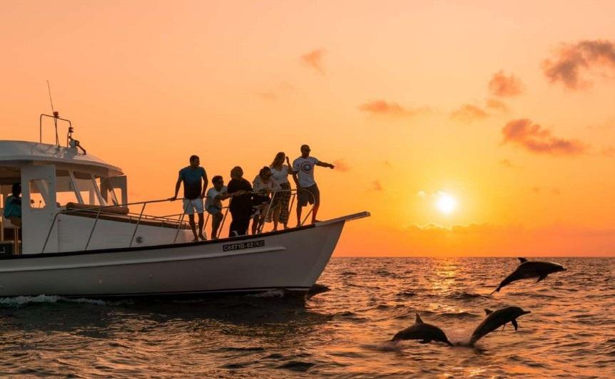 Dolphin & Sunset Cruises