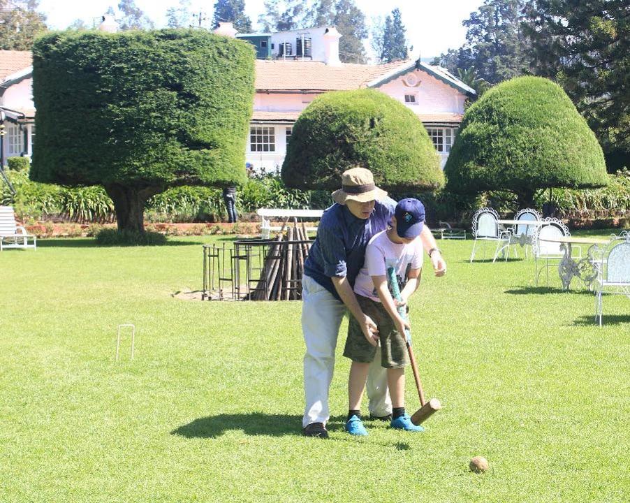 Croquêt on the Lawn