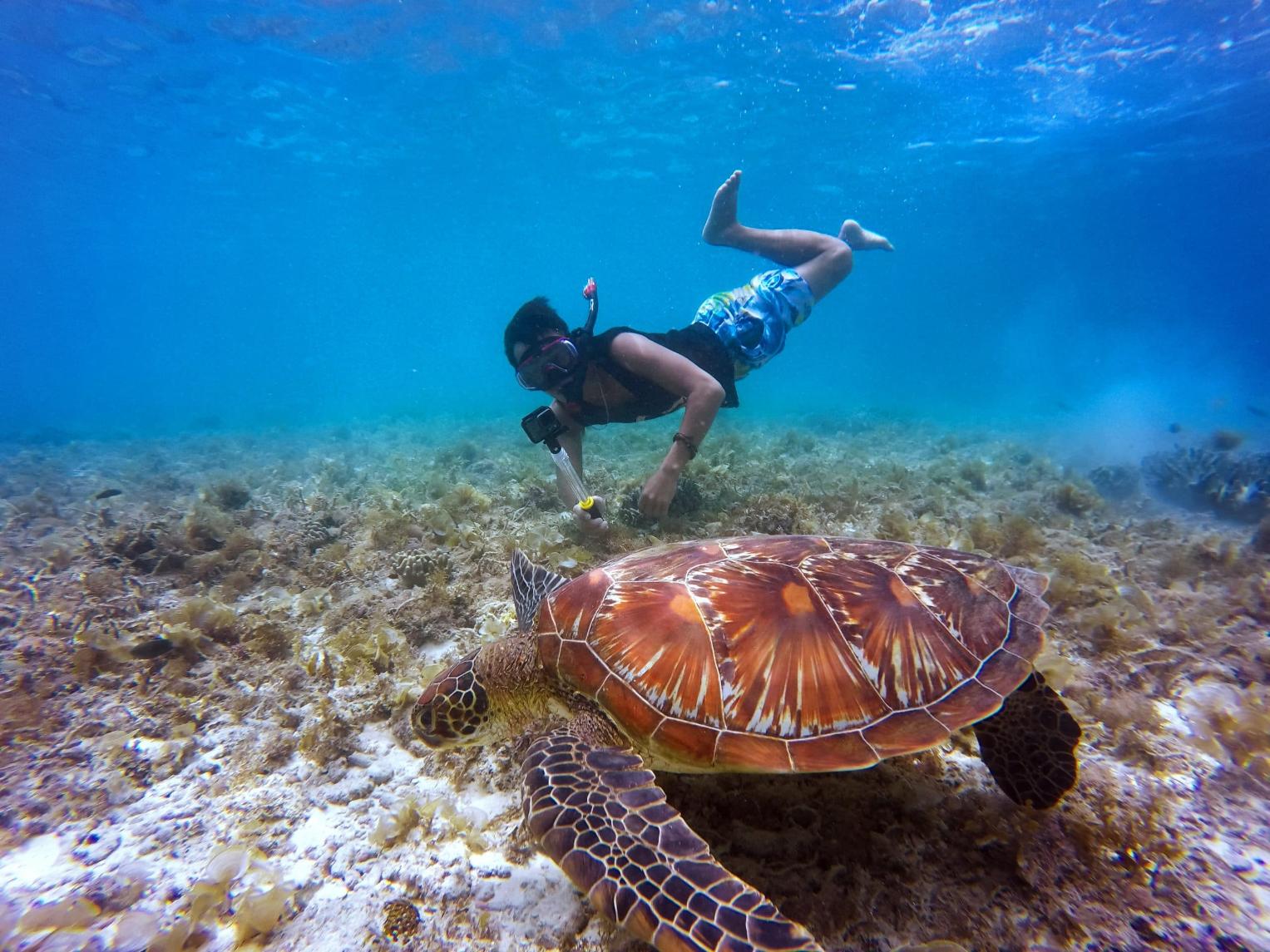 Snorkeling Tours
