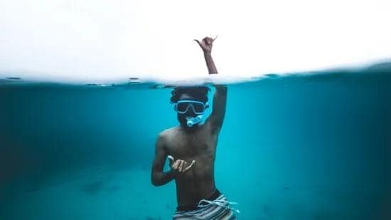 Guided Snorkelling