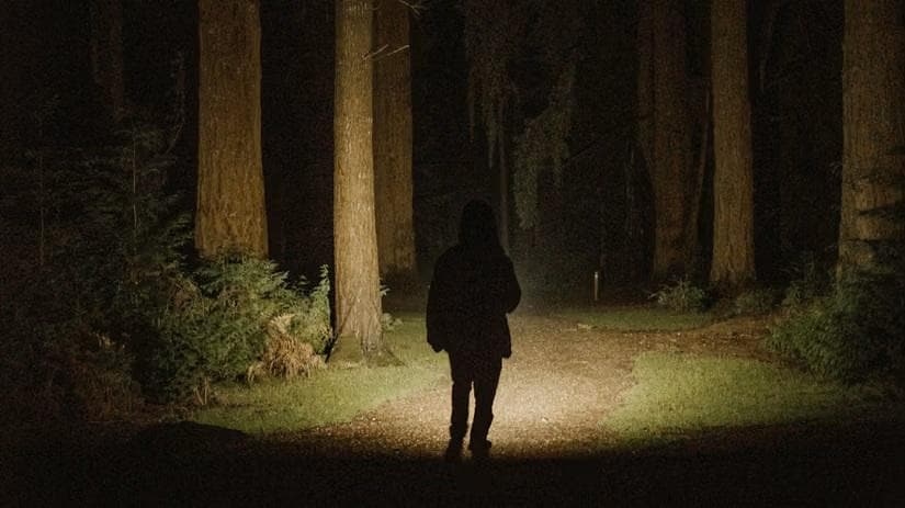 After-dark Nature Trail