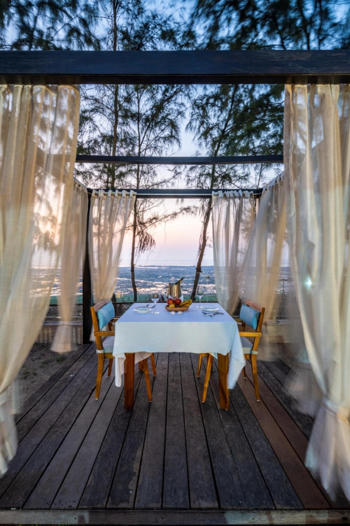 Dining Under the Stars