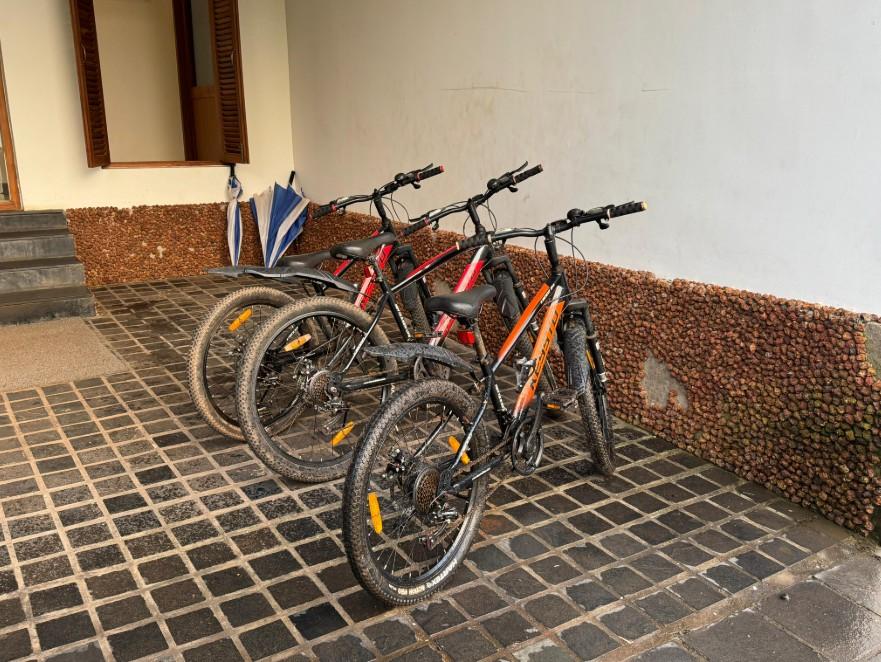 Electric Cycle Rides