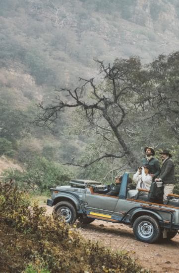 Tiger Safari in Ranthambore