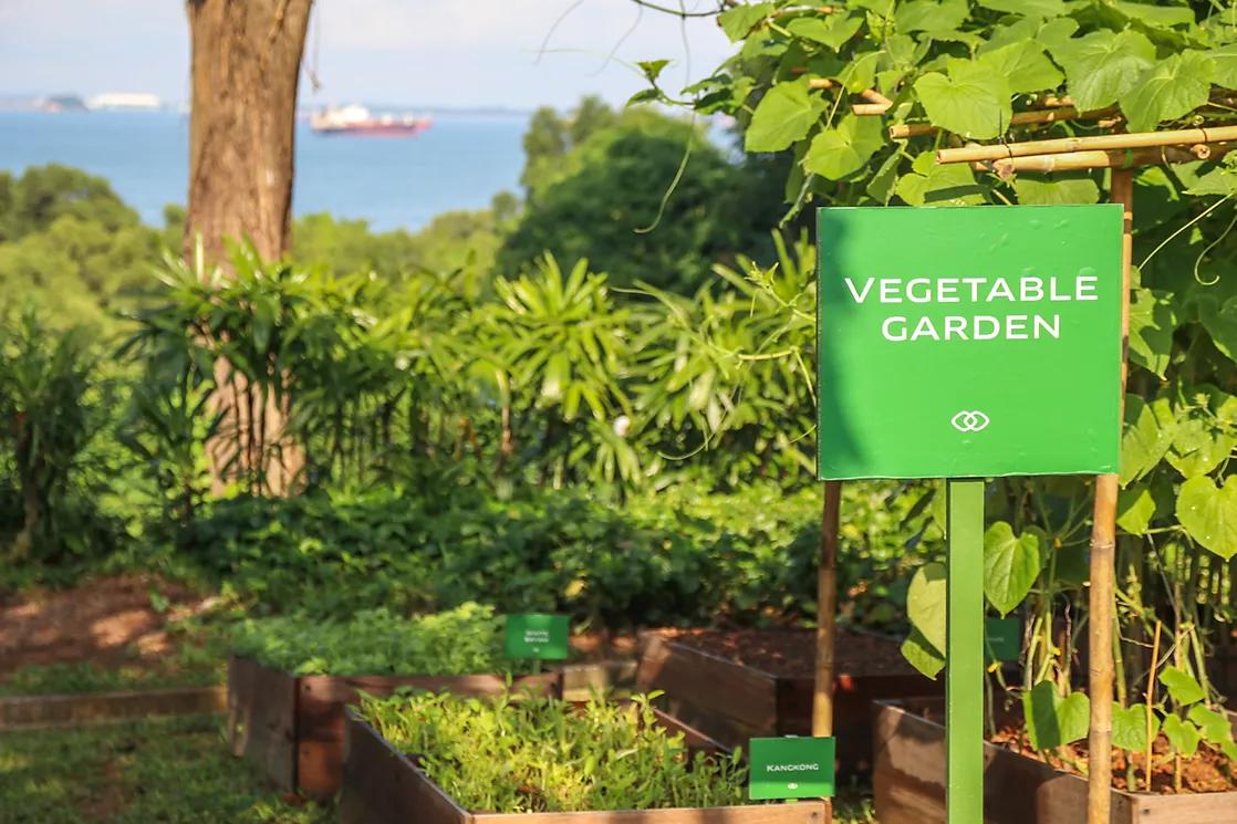 Farm-to-table dining