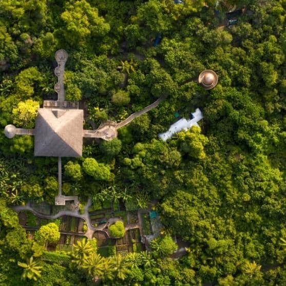 Nature-inspired Dining