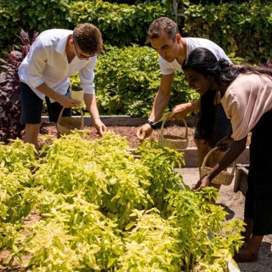 Garden Tours