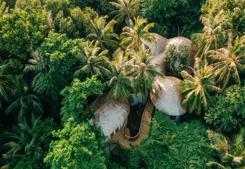 Wellness Amidst the Jungle