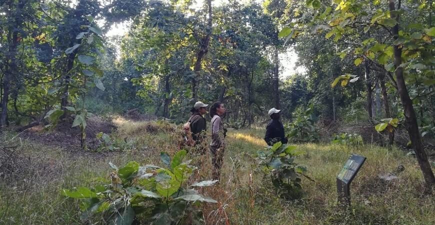 Runi Jhuni Walking Trail