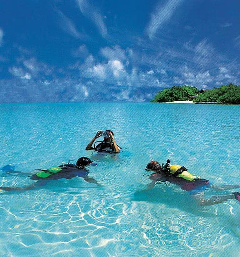 PADI-Certified Diving