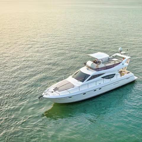 Cruise the Arabian Sea