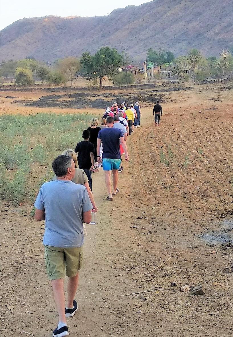 Hiking Along Cattle Tracks
