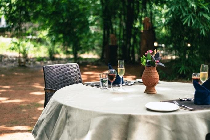 Date Under the Banyan Tree
