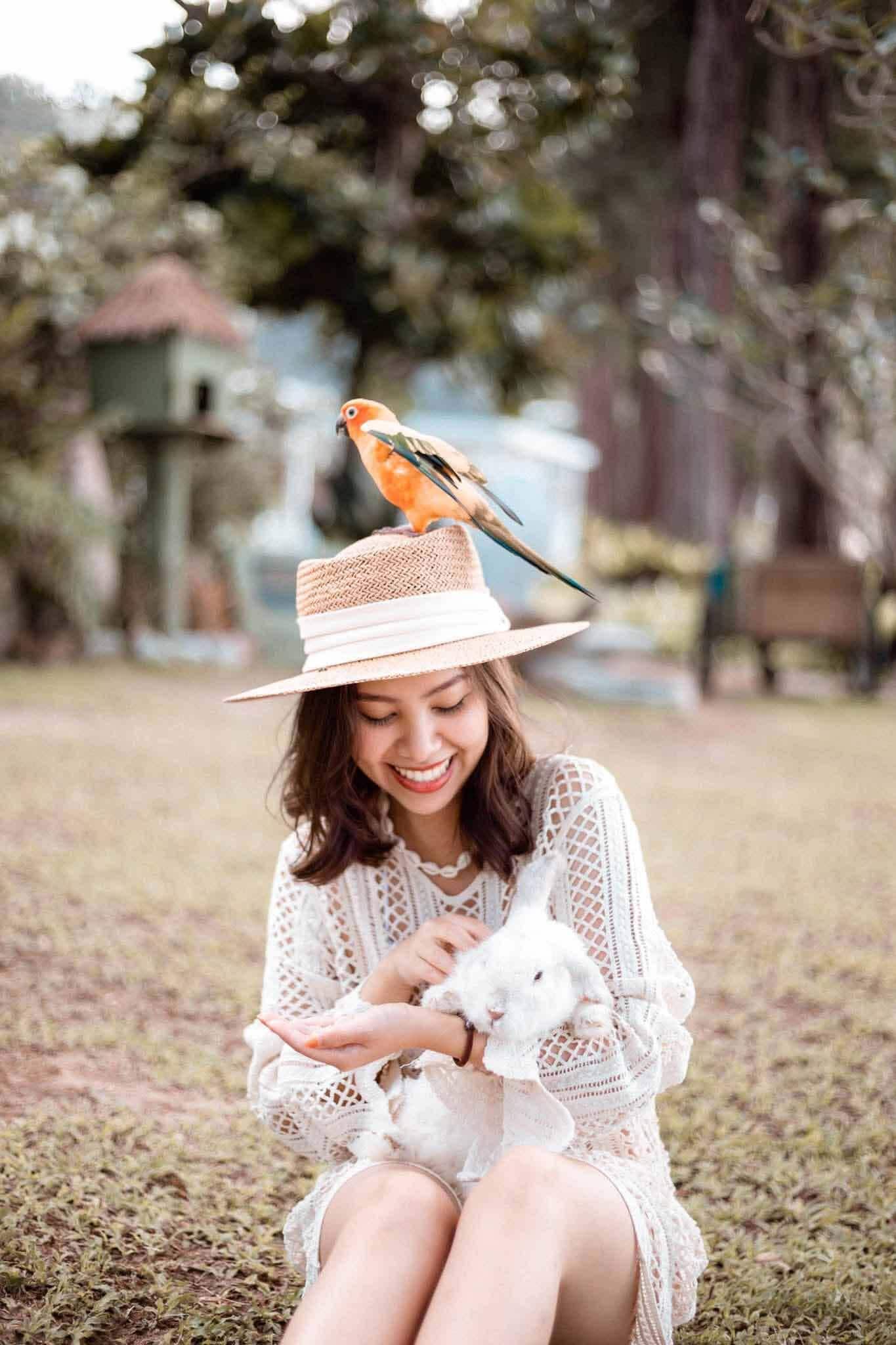 Beachfront Petting Zoo