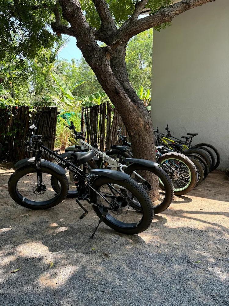 Cycles Around the Estate