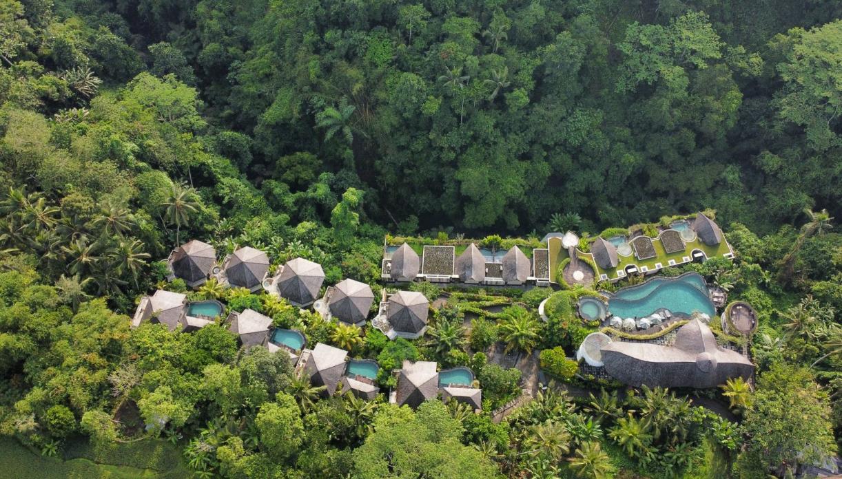 Forest-view Resort