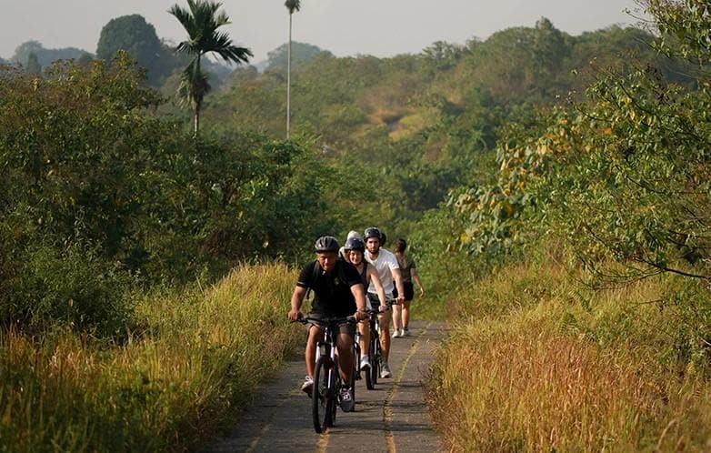Cycling Tour