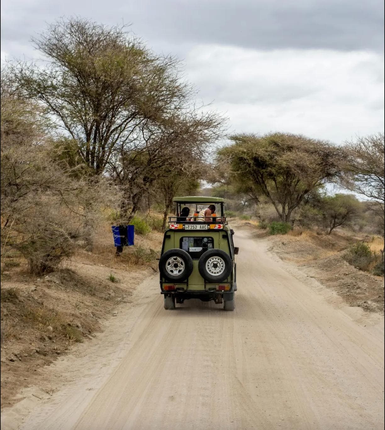 Dawn Safari & Bird Watching