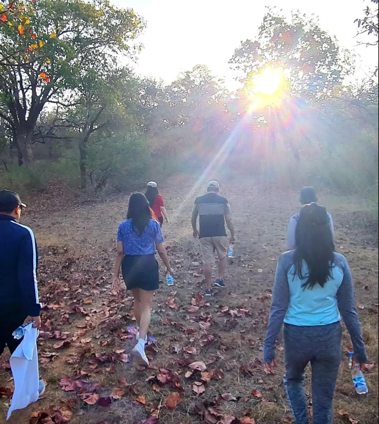 Nature Walk and Birdwatching