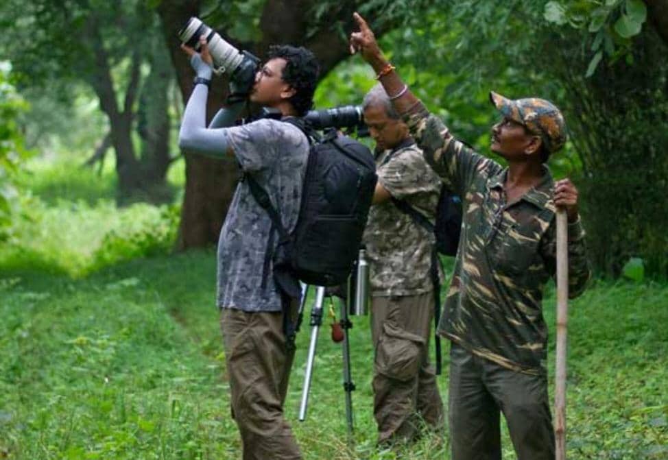 Nature Walk in Tadoba