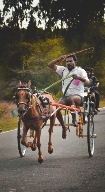 Tanga Ride & City Tour