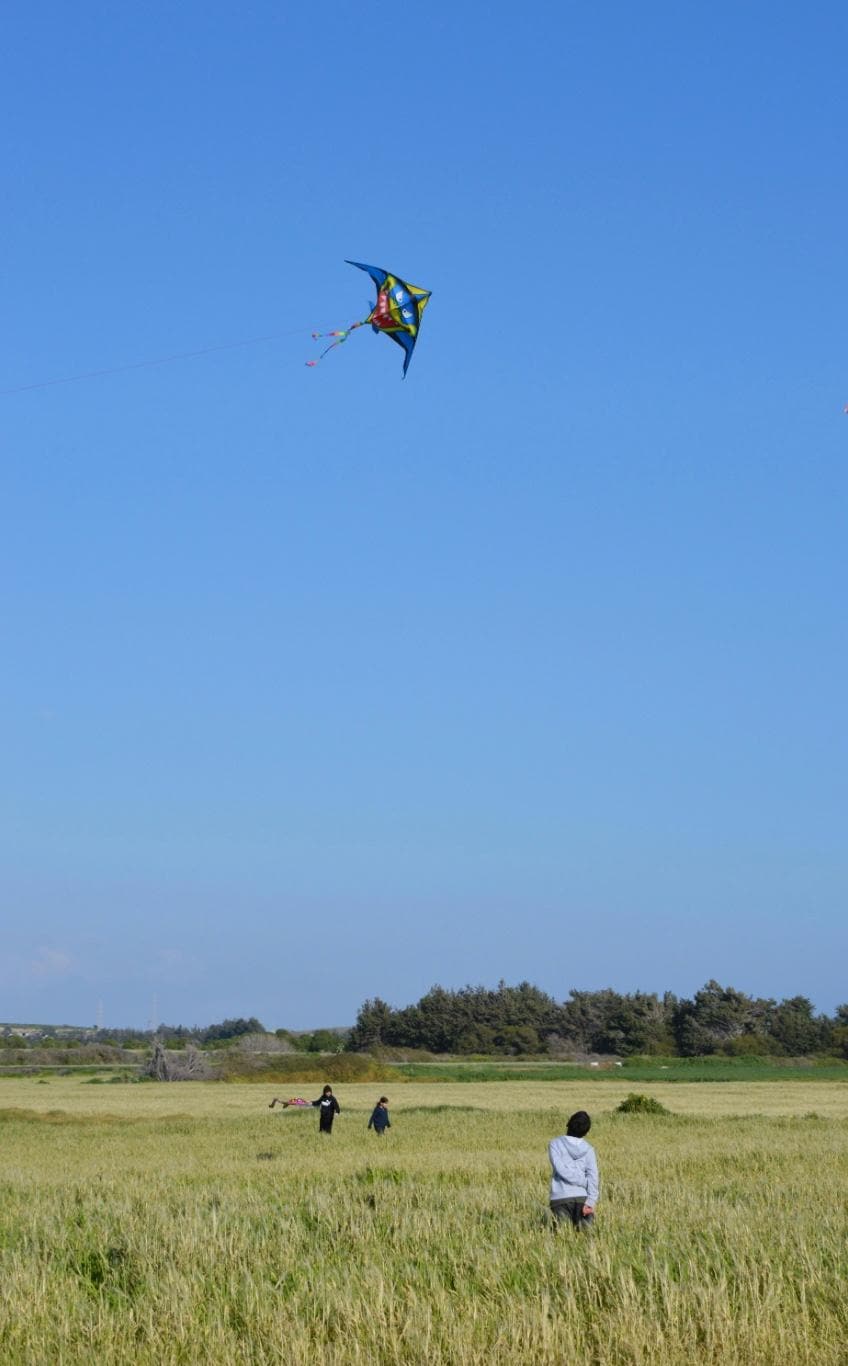 Countryside Kite Flying