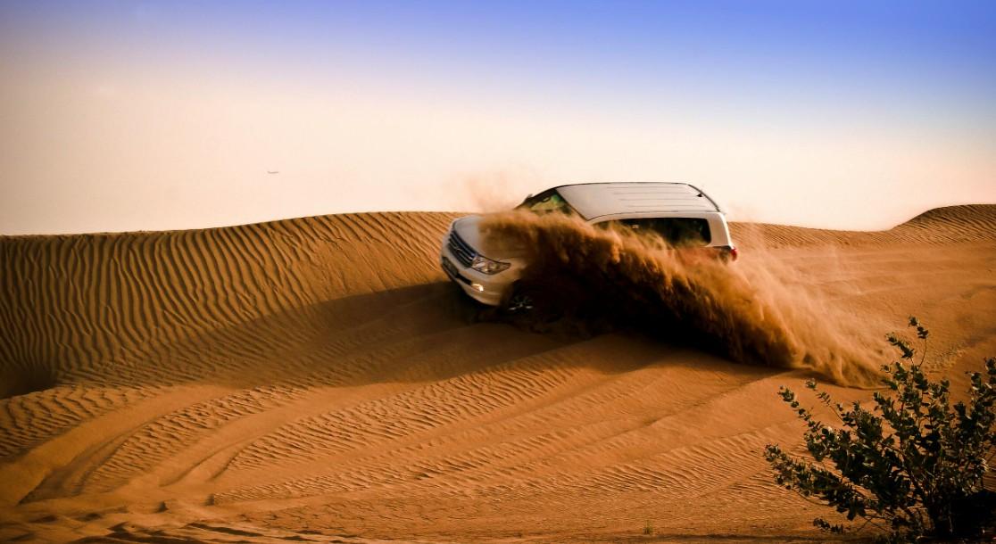 Desert Safari Experience