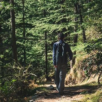 Nature Walk & City Tours