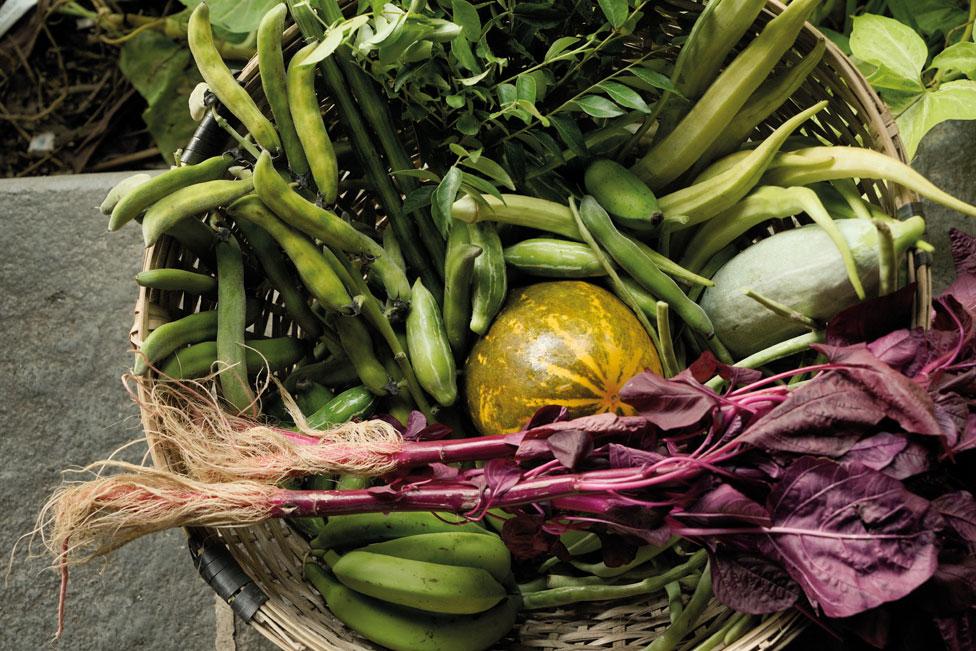 Farm-to-Table Dining