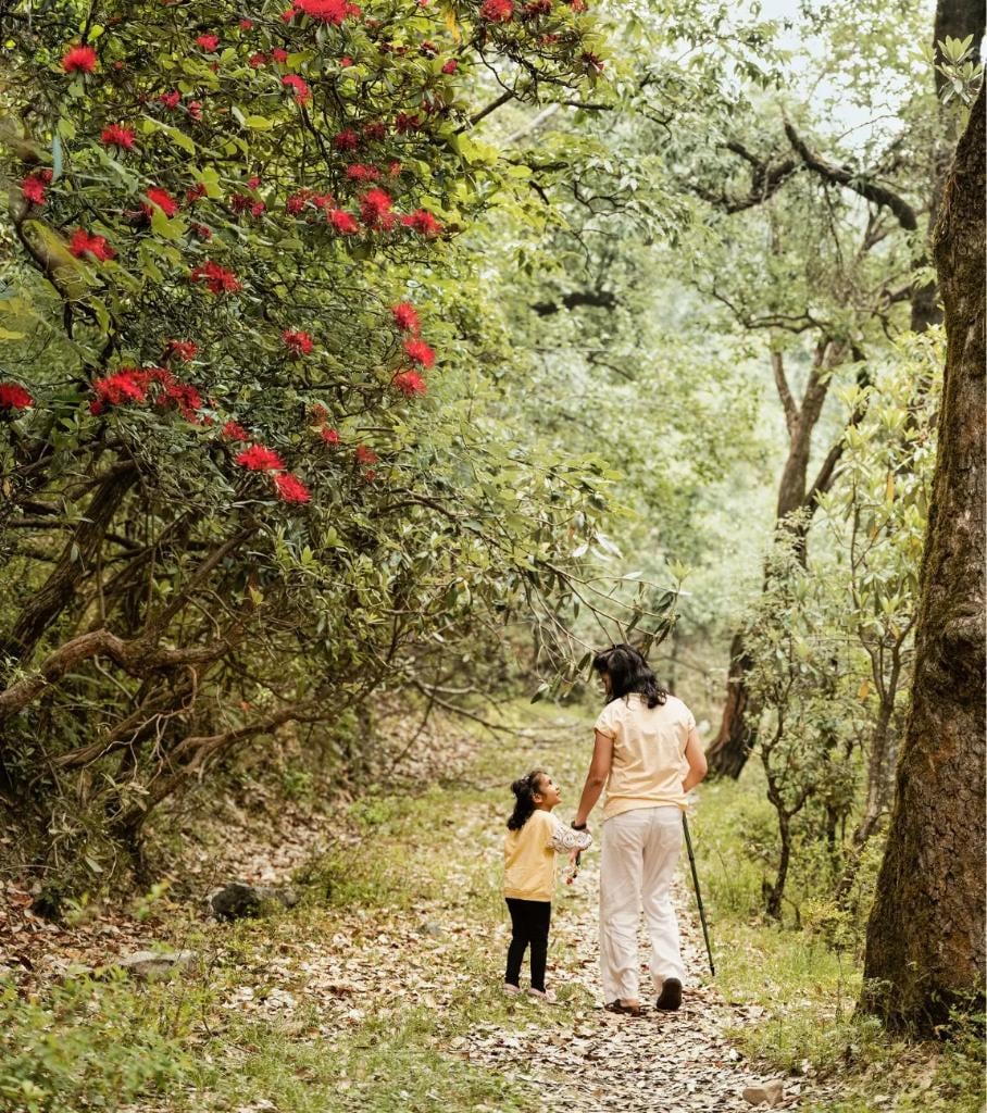 Jhandidhar Peak Trek