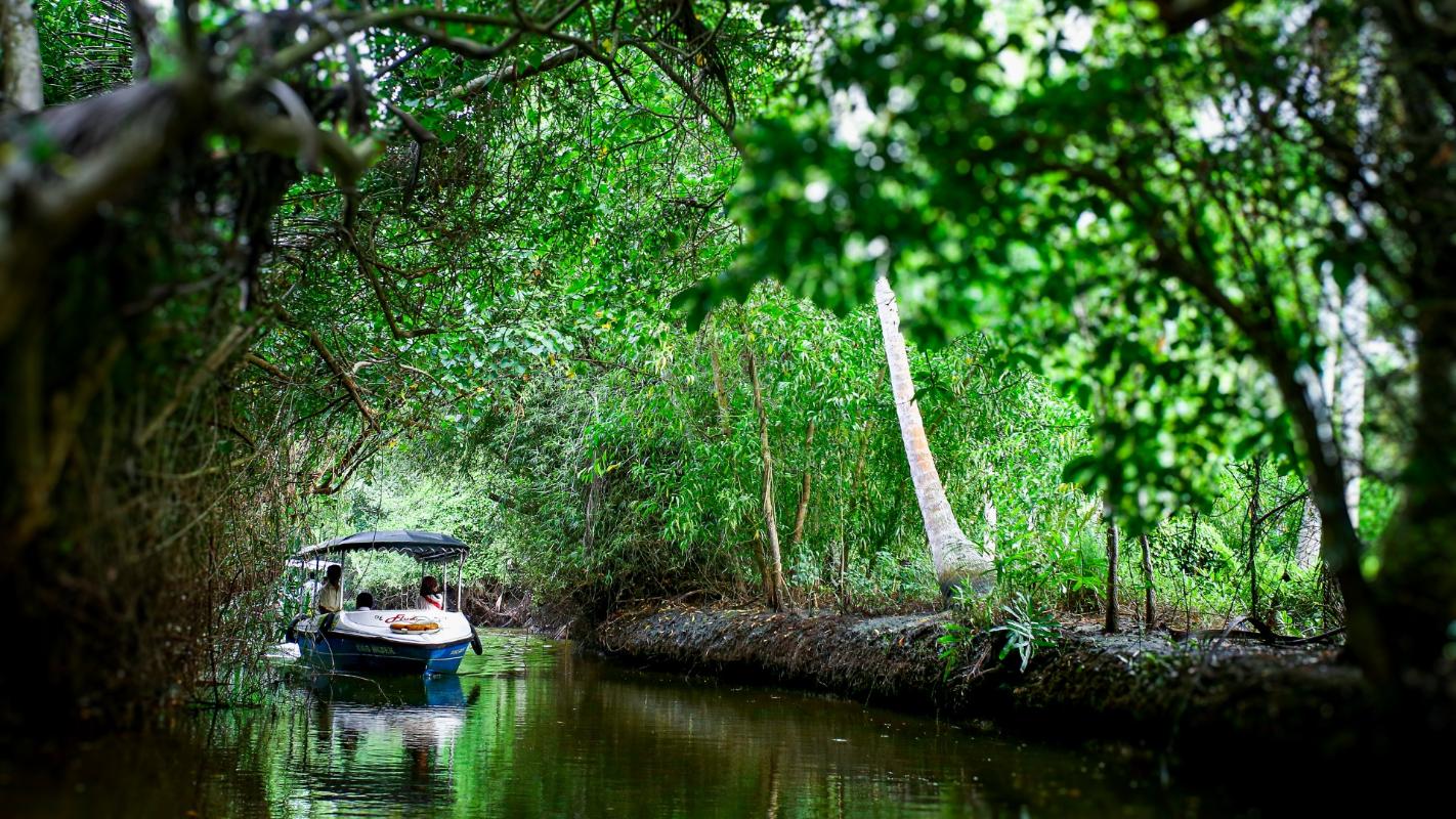 Backwater Cruise & Picnic